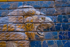 Pergamon_Lion.jpeg