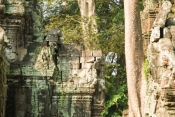 Inside_Ta_Prohm.jpg