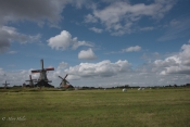 Windmill_Skies