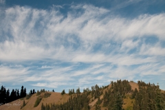 Hurricane_Ridge