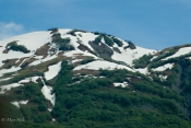 Alaska_Mound.jpg