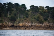 St._Malo_Shore.jpg