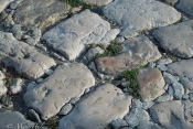 Stone_Paving.jpg