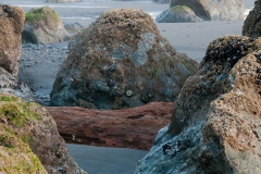 Beach_Rocks.jpeg