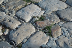 Stone_Paving.jpg