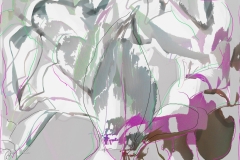 C'est_Cyclamen.jpeg
