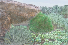 Desert_Etching.jpeg
